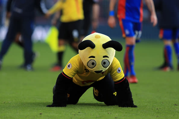 Harry the Hornet's behaviour is increasingly waspish