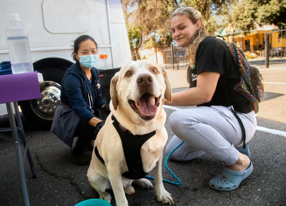 Veterinarian Dr. Sophie Liu, left, examines 9-year-old yellow Labrador Rex held by his owner Audra Steven at the ElleVet Project's stop at the Salvation Army in Stockton on Monday, June 13, 2022.
