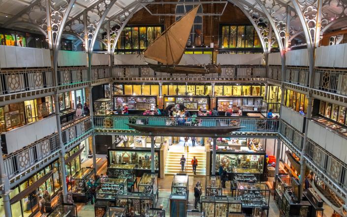 The Pitt Rivers Museum displays the University of Oxford’s anthropological collections - Peter Adams