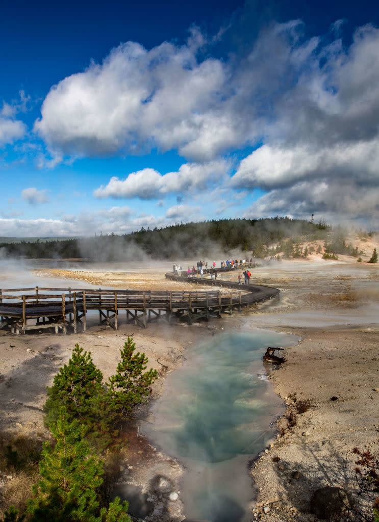 Tourists at Yellowstone National Park