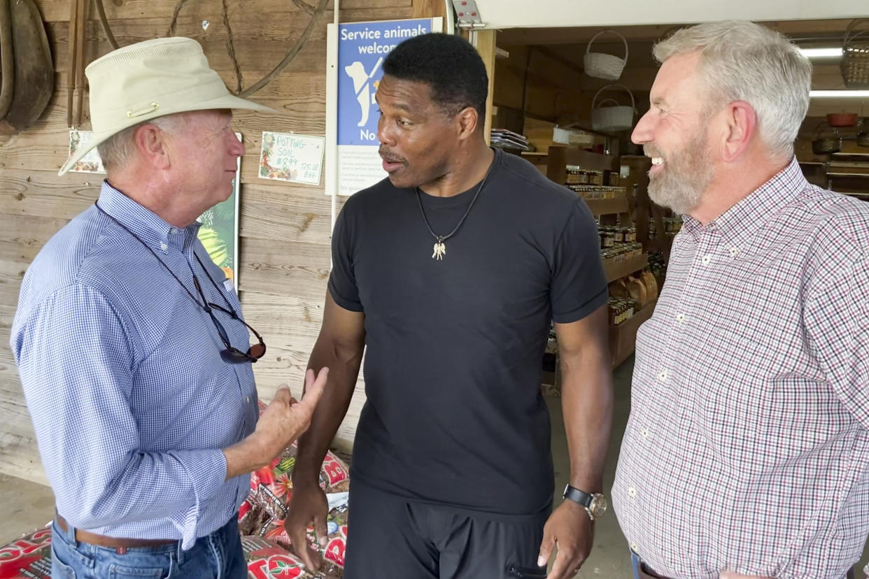 Republicans Senate candidate Herschel Walker, center, talks with Georgia state Sen. Butch Miller, left, and former state Rep. Terry Rogers as Walker campaigns July 21, 2022, in Alto, Ga. (AP)