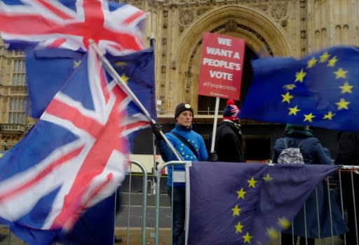 Many anti-Brexit activists are seeking a second vote