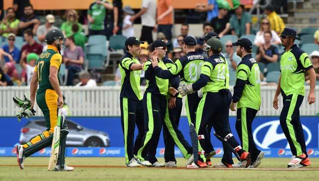 Ireland celebrate a wicket