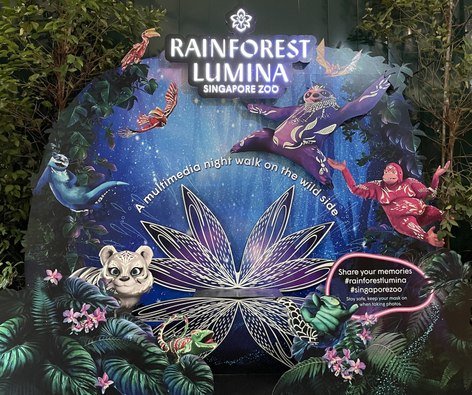 Rainforest Lumina at the Singapore Zoo (Photo: Stephanie Zheng)