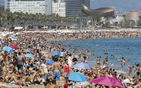 People cool off at Sant Sebastia and Sant Miquel beaches in Barceloneta neighborhood in Barcelona, Spain, August 16, 2015. REUTERS/Albert Gea/File Photo
