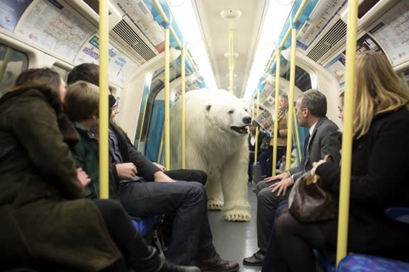 Polar bear shocks commuters on the Tube