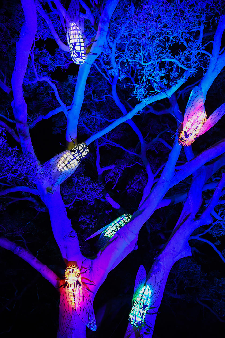 PHOTOS: Vivid Sydney 2019