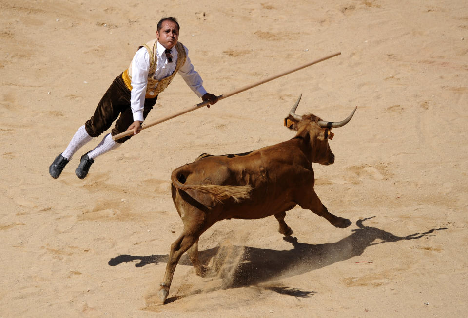 A "recortador" pole vaults over a wild cow during an exhibition of riding and acrobatic skills at the bullring on the third day of the annual San Fermin festival in Pamplona July 8, 2008. REUTERS/Eloy Alonso