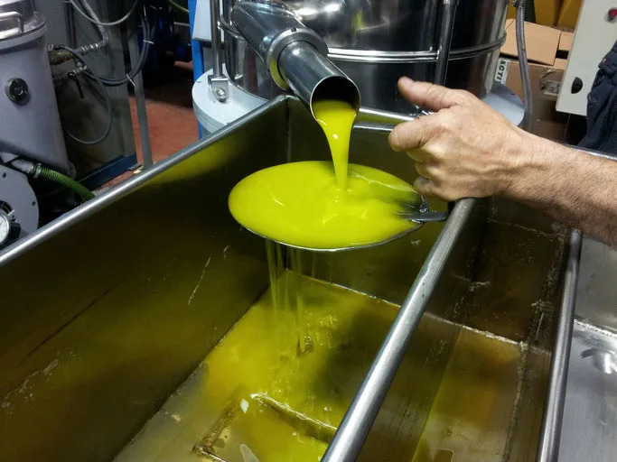 Thick,  lime-green liquid being poured into a vat