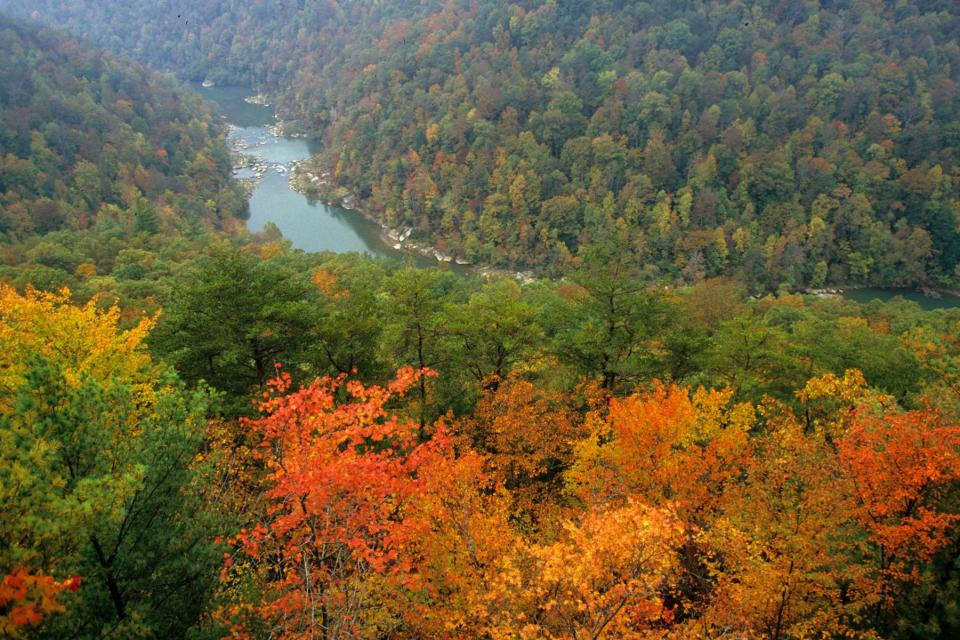 Tennessee: Big South Fork National River and Recreation Area