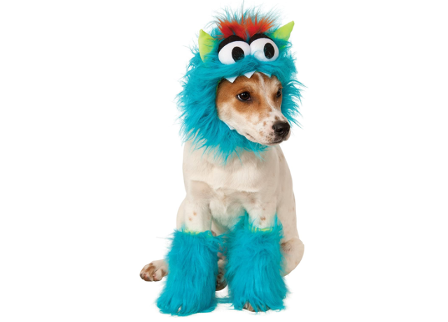 29 Dog and Human Costumes on  ? PureWow