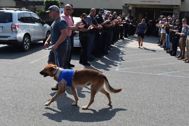 <p>Facebook/Troy Police Department</p>