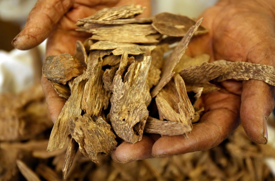 Astillas de madera resinosa de agarwood, muy apeciadas como incienso y perfume, en un mercado en Asia. (Getty Images)