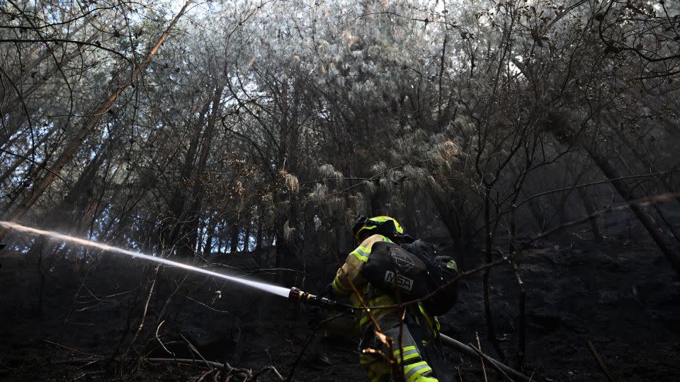 A firefighter puts out a forest fire in Bogota on January 25. - Raul Arboleda/AFP/Getty Images