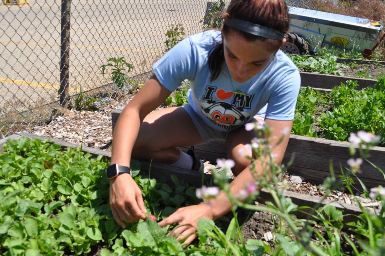 Cadence Diduch works in the Freeport Student Garden on Wednesday, June 29, 2022, in Freeport.