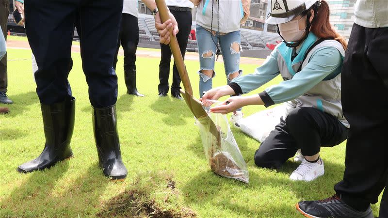 新竹市長高虹安一上任就追查新竹市棒球場「大秘寶」，反陷圖利案。（圖／新竹市政府提供）