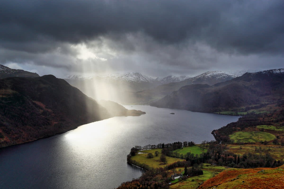 Be inspired by daffodils at Ullswater in the Lake District, just like William Wordsworth (Getty)