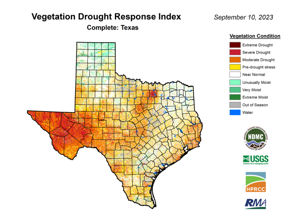 Texas vegetation conditions