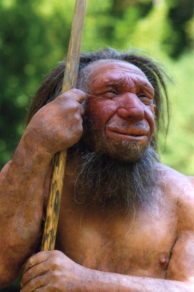 Reconstrucción de un hombre de Neandertal. <a href="https://www.neanderthal.de/de/urmenschen.html" rel="nofollow noopener" target="_blank" data-ylk="slk:Museo Neandertal, Mettmann;elm:context_link;itc:0;sec:content-canvas" class="link ">Museo Neandertal, Mettmann</a>, <a href="http://creativecommons.org/licenses/by-sa/4.0/" rel="nofollow noopener" target="_blank" data-ylk="slk:CC BY-SA;elm:context_link;itc:0;sec:content-canvas" class="link ">CC BY-SA</a>