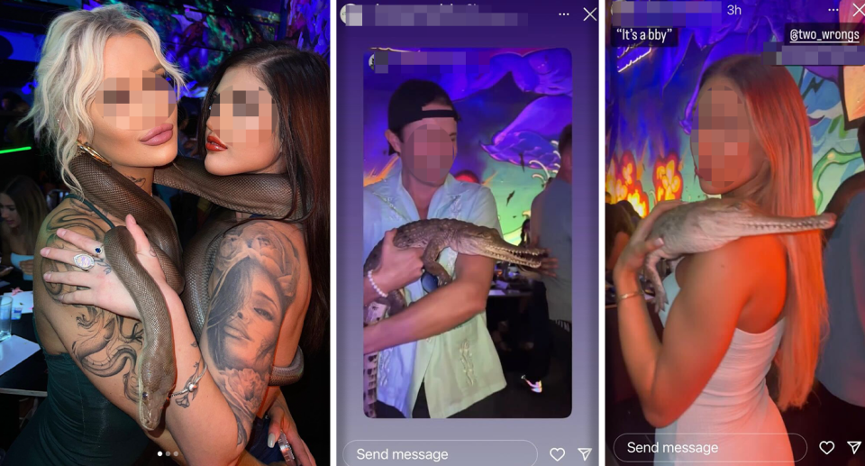 Influencers posed with live reptiles at a Melbourne nightclub. Source: Instagram