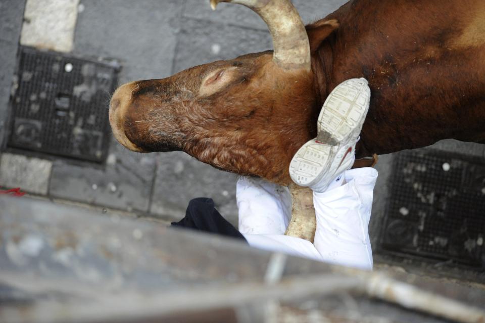 A runner is gored by the Miura bull during the last bull run of the San Fermin Festival in Pamplona, northern Spain, on July 14, 2014. AFP PHOTO/ ANDER GILLENEA        (Photo credit should read ANDER GILLENEA/AFP/Getty Images)