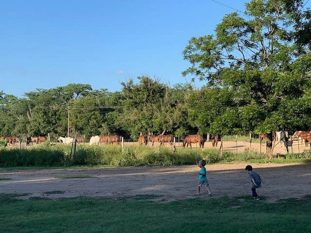 Mayan Dude Ranch