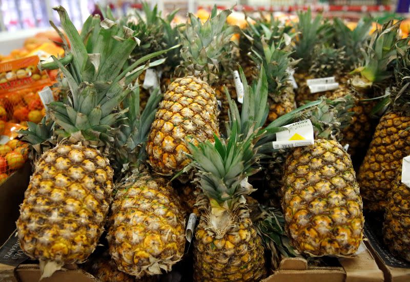 The report said the Ministry of Agriculture and DOA should conduct an internal investigation and take action on responsible officers if proven of negligence in retrieving the MD2 pineapple seeds. — Reuters pic