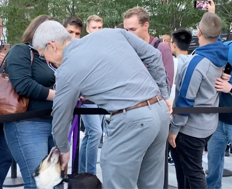 Apple CEO Tim Cook pets a very good dog at the re-opening of the company's flagship store. (Image: Howley)