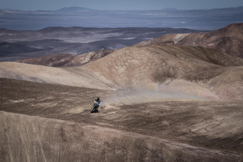 (FOTOS) Florece en Chile el desierto más árido del mundo