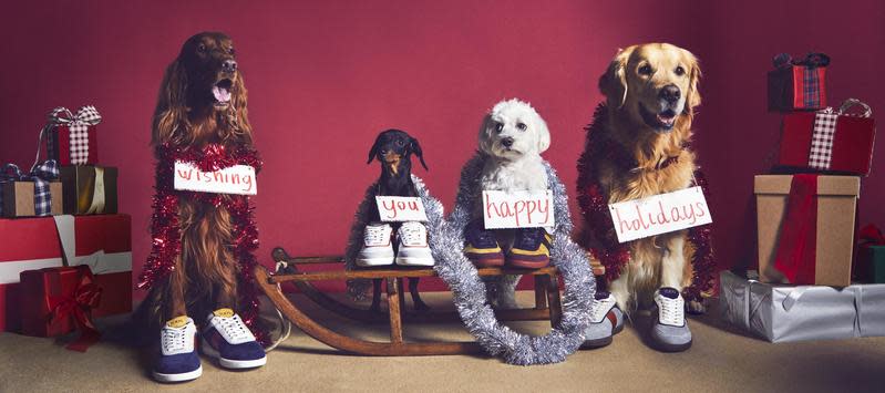 TOD’S推出「A Pawfect Holiday」全新耶誕企劃，讓狗兒當上主角，展示品牌單品。（迪生提供）