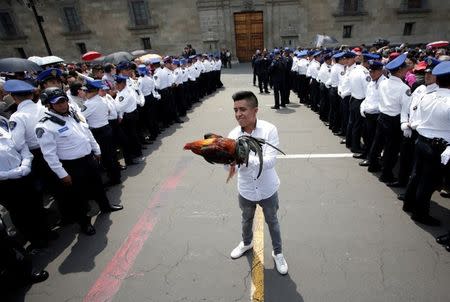 A supporter of Mexico's president-elect Andres Manuel Lopez Obrador shows a rooster, that he wants to give him as a present, while waiting for him outside National Palace in Mexico City, Mexico July 3, 2018. REUTERS/Daniel Becerri