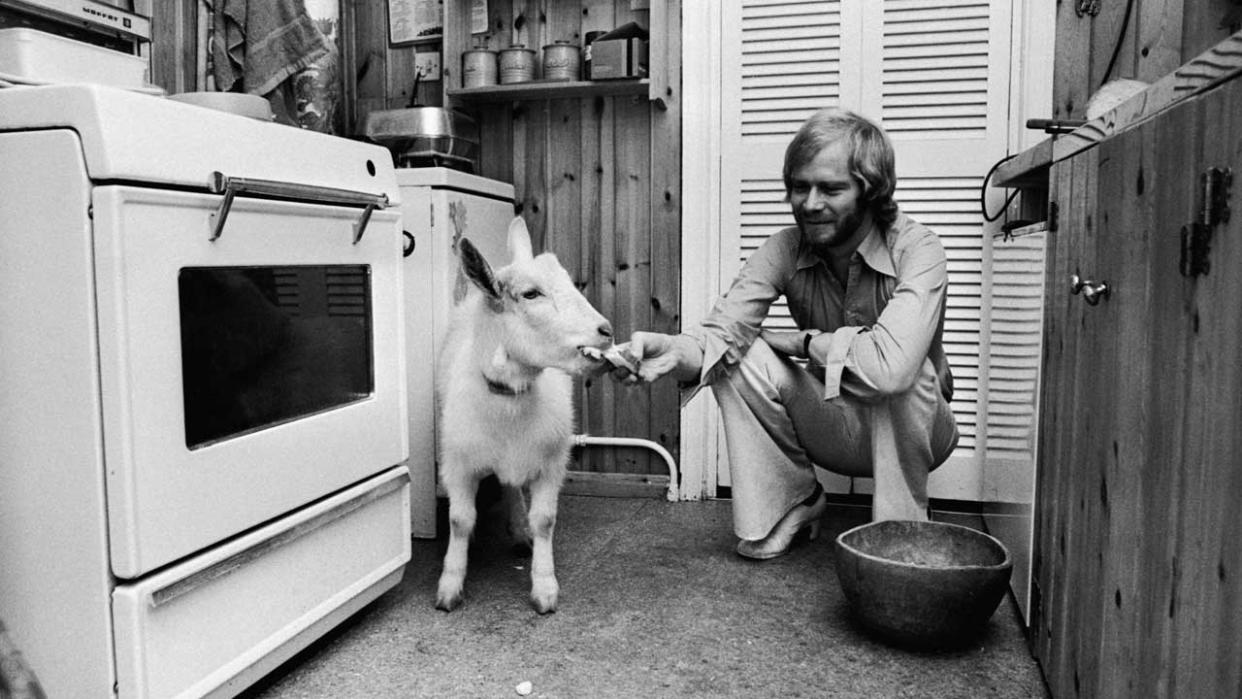  Long John Baldry in his kitchen feeding a goat. 