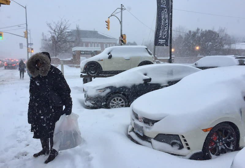 PHOTOS: Toronto digs out from massive snowstorm