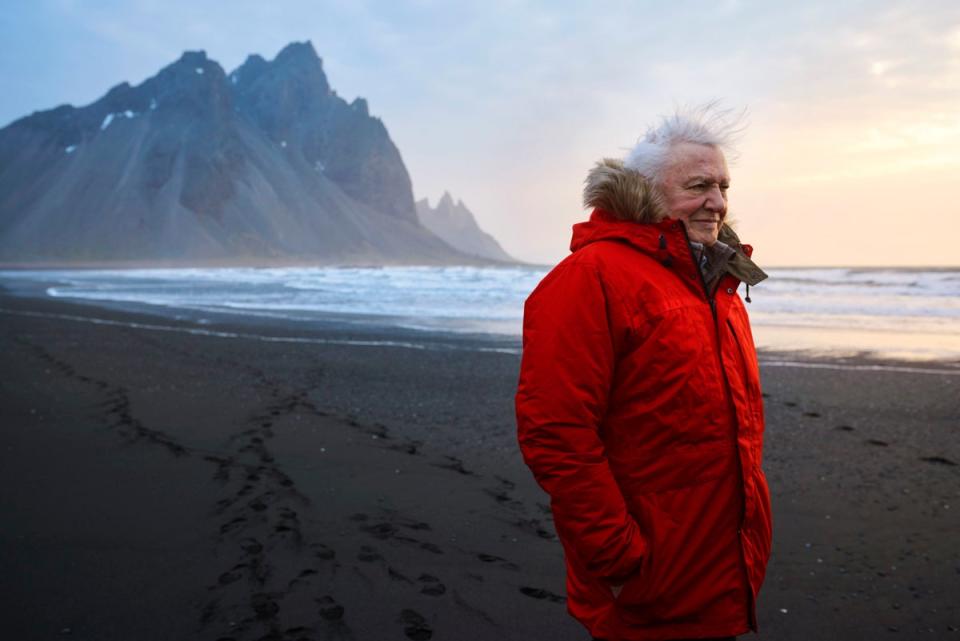 Sir David Attenborough (Alex Board/PA) (PA Media)