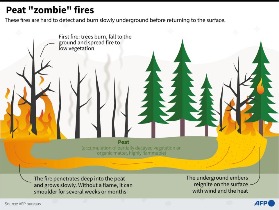 <span>Graphic showing how peat fires, nicknamed "zombie fires", spread underground before returning to the surface </span><div><span>AFP</span></div>