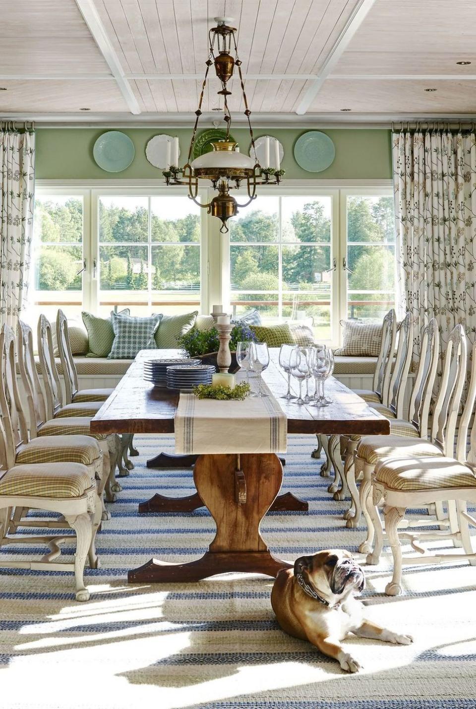a dog sitting on the floor in a dining room with a chandelier and chairs