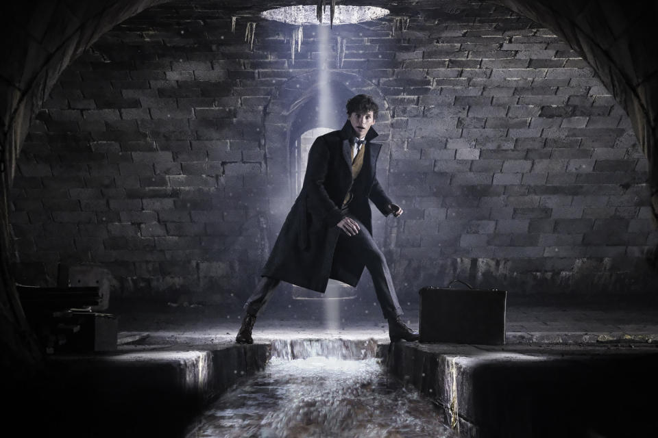 <p>Since the events of the first <em>Fantastic Beasts</em>, Newt has published his guide to magical creatures and is a celebrity in the wizarding world.<br> (Photo: Jaap Buitendijk/Warner Bros.) </p>