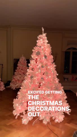 <p>Paris Hilton Instagram</p> Paris Hilton revealed her pink Christmas trees on Instagram