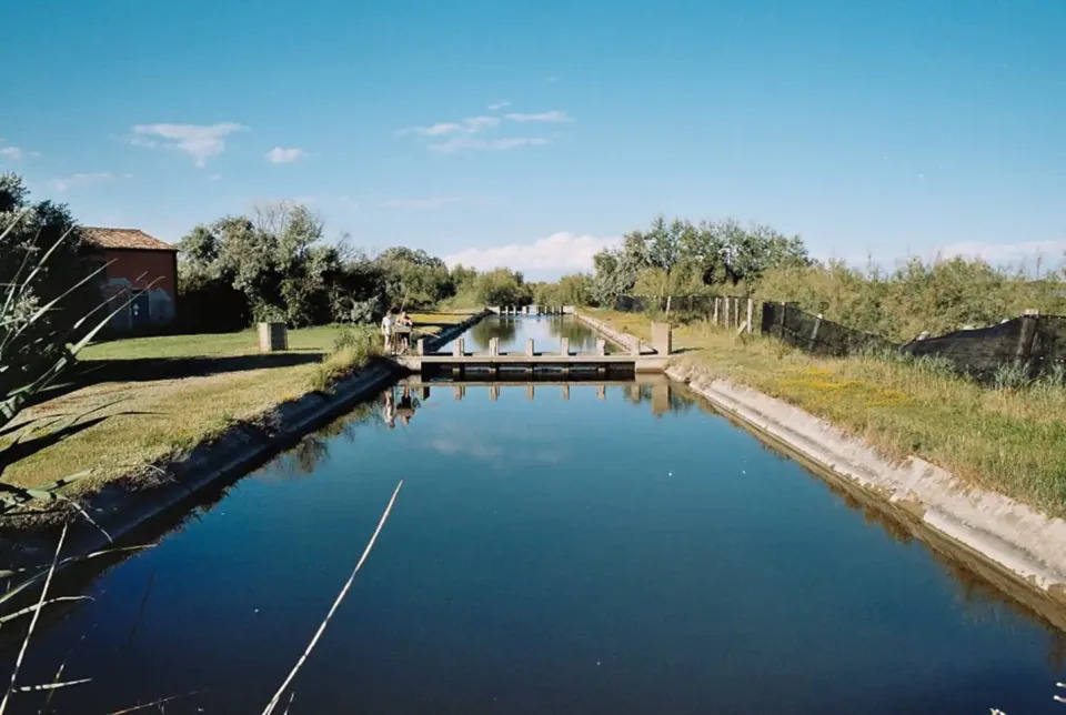 En la granja también se produce miel y se crían pescados y ostras. Todo ello está a disposición de los huéspedes. (Foto: <a href="http://www.airbnb.es/rooms/12110686?_set_bev_on_new_domain=1598534244_ZDg5N2M3ZWE3YzY1&source_impression_id=p3_1598534243_2QH3Zgm9E6HE3c5k" rel="nofollow noopener" target="_blank" data-ylk="slk:Airbnb;elm:context_link;itc:0;sec:content-canvas" class="link ">Airbnb</a>).