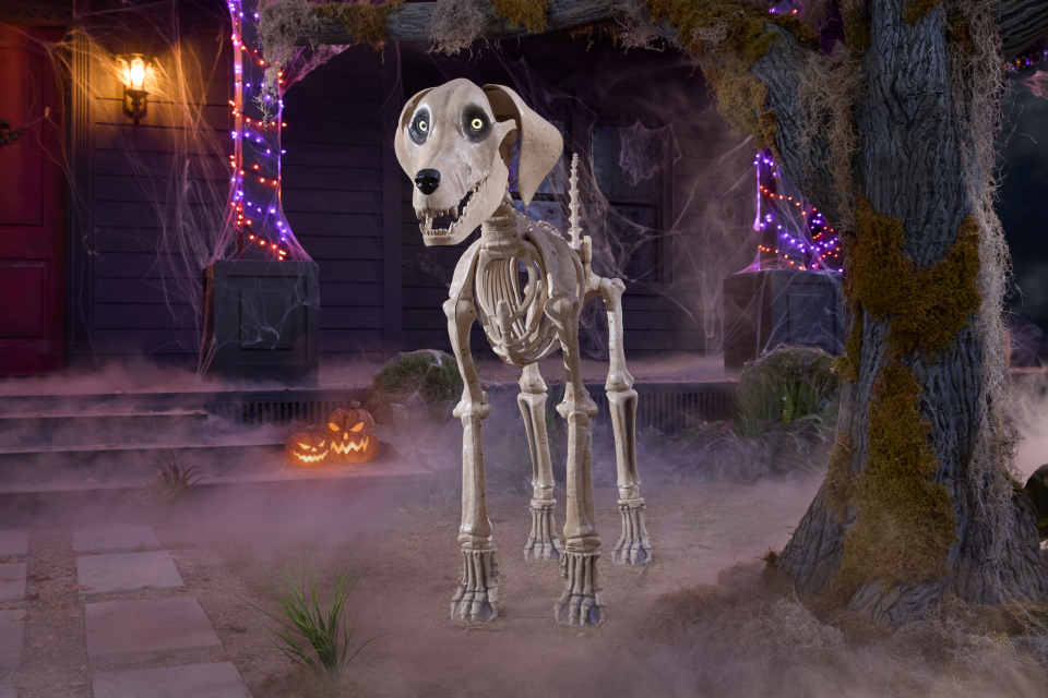 Skelly's new pet dog.