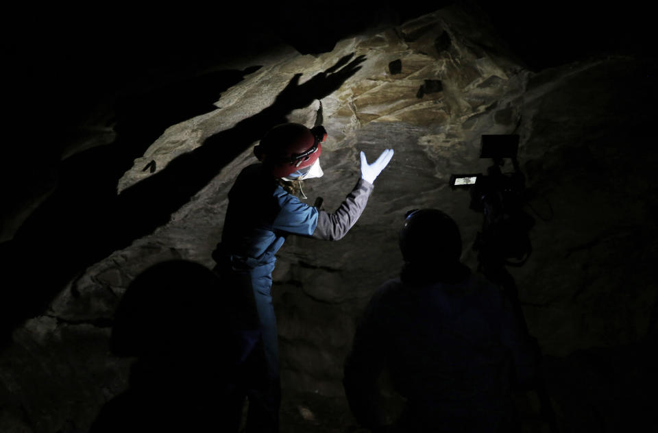 Alyssa Bennett, small mammals biologist for the Vermont Department of Fish and Wildlife, reaches toward roosting bats in a cave in Dorset, Vt., on May 2, 2023. Scientists studying bat species hit hard by the fungus that causes white nose syndrome, which has killed millions of bats across North America, say there is a glimmer of good news for the disease. Experts say more bats that hibernate at a cave in Vermont, the largest bat cave in New England, are tolerating the disease and passing protective traits on to their young. (AP Photo/Hasan Jamali)