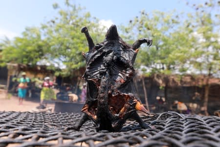 A smoked pangolin is seen posed on a wire mesh along Ife-Ibadan road