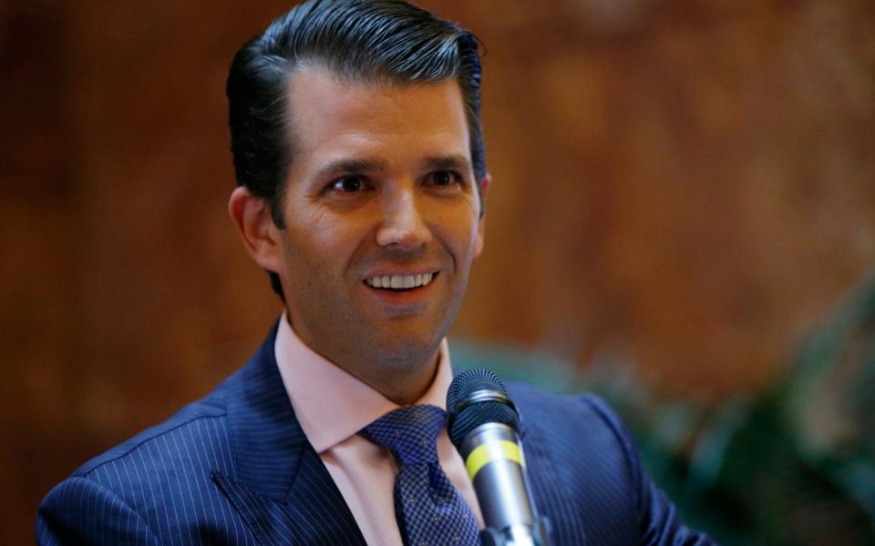 Donald Trump Jr agreed to a meeting after Rob Goldstone's approach - AP Photo/Kathy Willens