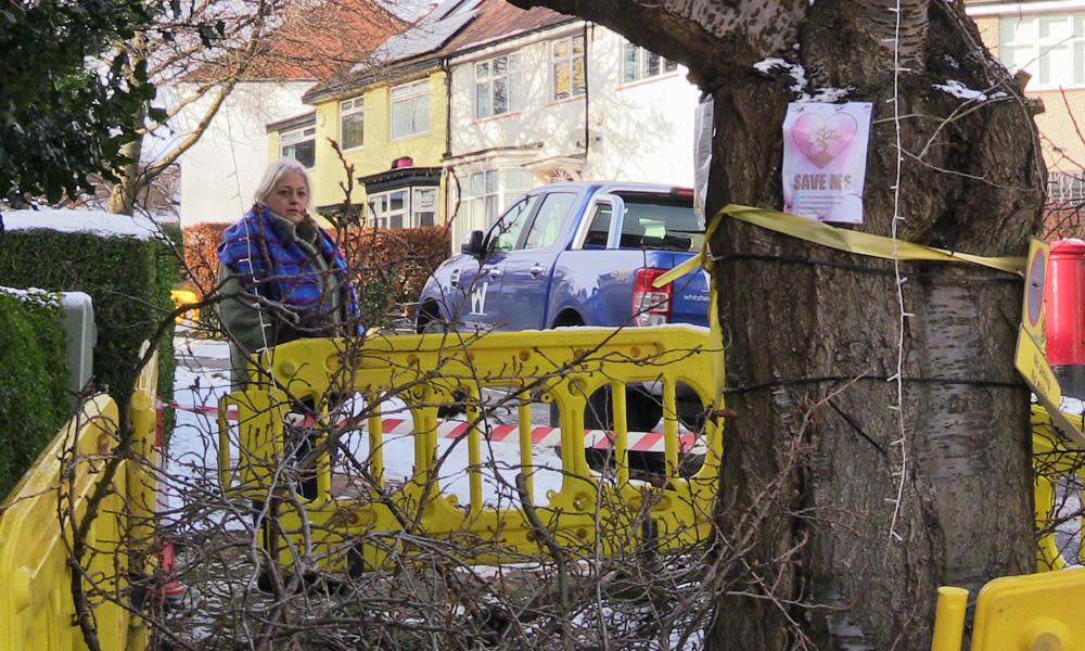 A Sheffield resident, Jane Sharpe, by a tree that was cut down in Dore as part of the local council’s felling programme.