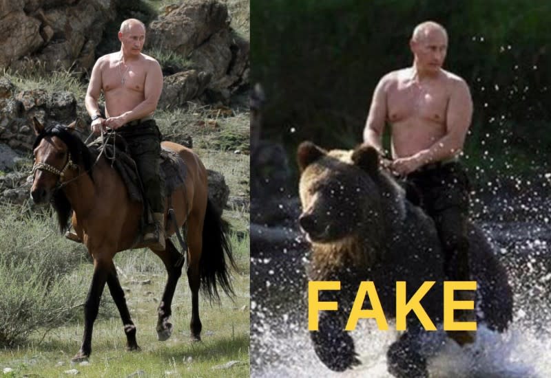 普京騎熊照多次被國外事實查核網站標明「造假」。（翻攝推特）