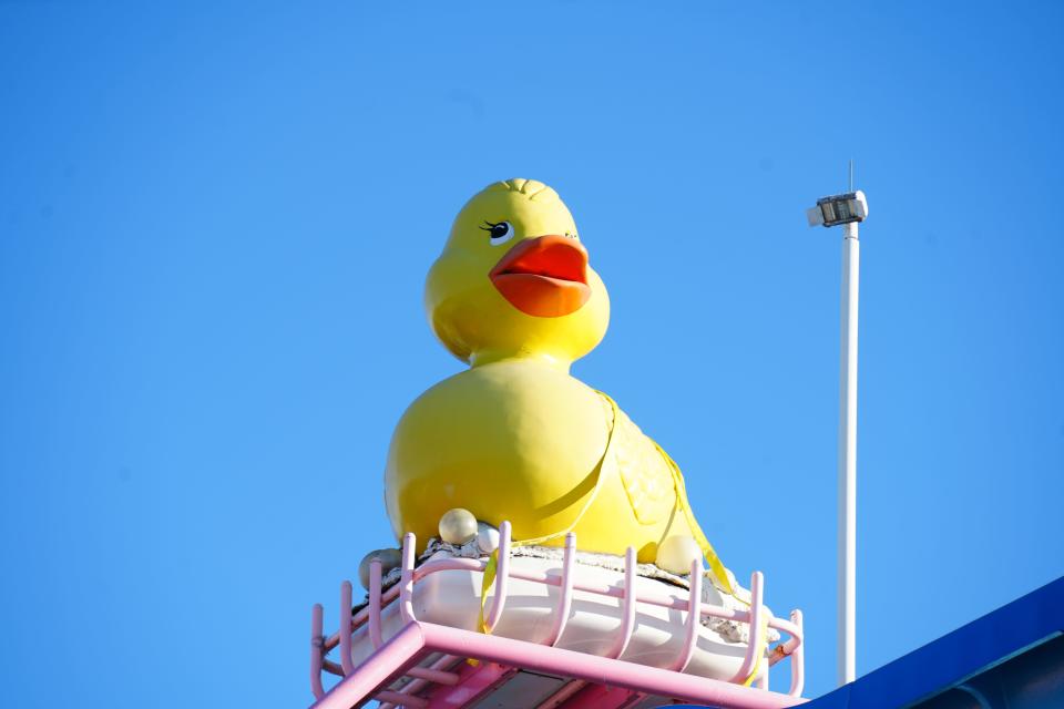 The iconic Rubber Duckie that sat atop Sky Splash since 1995 was removed Thursday morning as construction for the new tropical-themed land, Big Bird’s Beach, progresses rapidly. Sesame Place will hold a contest on its social media for visitors to choose where in the park Rubber Duckie will live from now on.