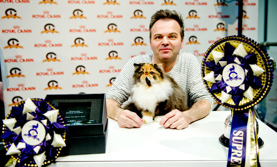 <p>CullyKhan Bellini, a Tortie and White Persian kitten and runner up for Best In Show participates in the GCCF Supreme Cat Show at National Exhibition Centre on October 28, 2017 in Birmingham, England. (Photo: Shirlaine Forrest/WireImage) </p>