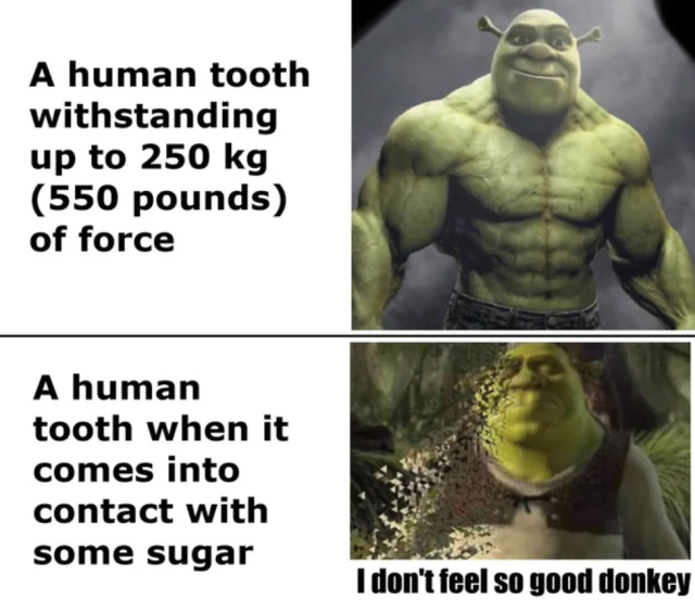 Daily Shrek Meme Gen Z Humor