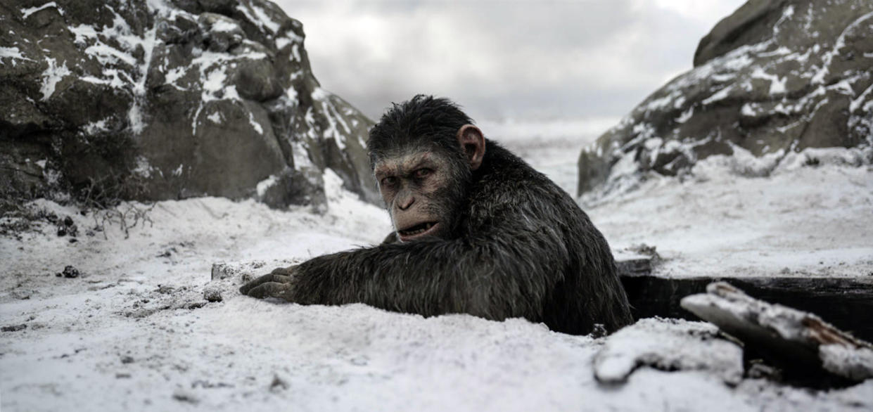 Caesar in an icy landscape in a scene from War For The Planet of the Apes