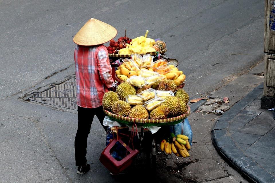 時機過於巧合！美國總統拜登訪問越南前夕，越南大批榴槤、香蕉、火龍果等水果突然因檢疫問題無法出口中國。圖為越南水果小販。(Pixabay)